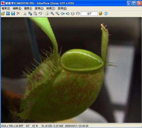 看圖軟體irfanview，友善簡潔的中文化介面