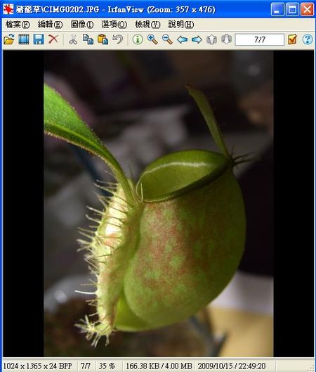 看圖軟體irfanview，具備快速易使用的瀏覽效率