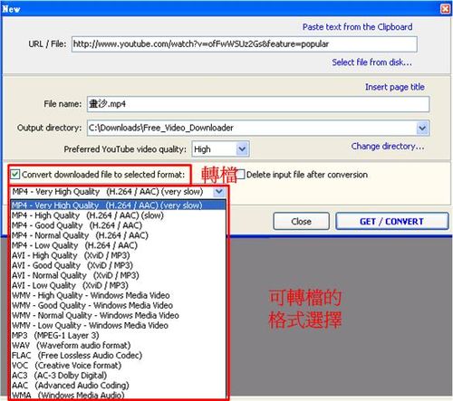 除可直接下載youtube影片flv，還可以設定下載兼轉換格式喔