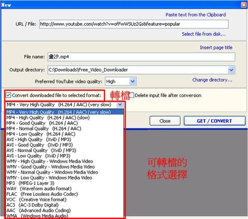 除可直接下載youtube影片flv，還可以設定下載兼轉換格式喔