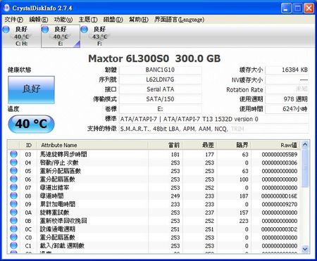 CrystalDiskInfo顯示筆者另外一顆320G硬碟，品牌Maxtor