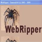 黑暗系力量，網頁遊戲swf及網頁資源下載-WebRipper