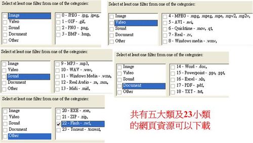 WebRipper下載資源分類，本試範下載對像為SWF，選擇FLASH swf