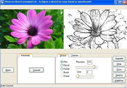 植物花照片轉素描作品（筆觸使用鋼筆）