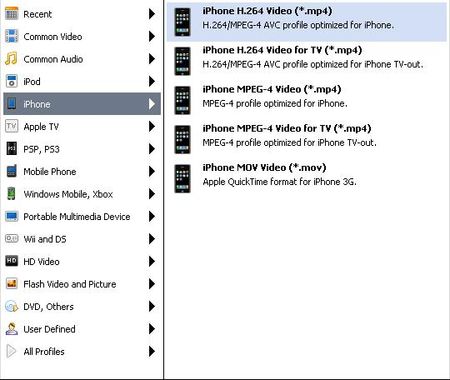 圖示顯示支援iPhone格式各種類型